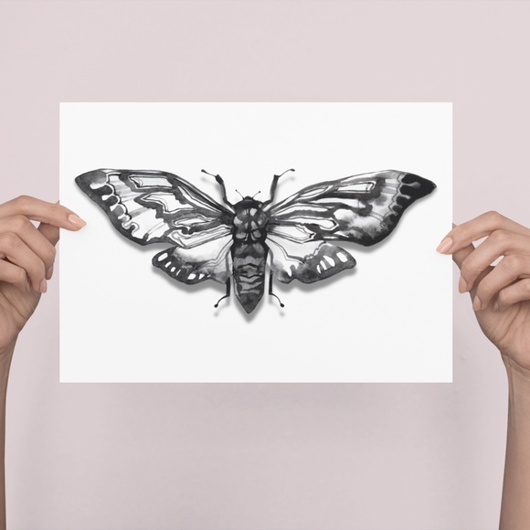 Watercolor Moth Wall Art Black And White Print Poster Unframed - Picture 2 of 6